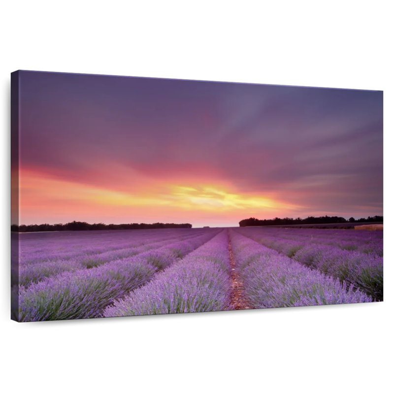 Alvord, coucher de soleil sur un champ de lavande, H 16 po x l 24 po