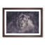 Lion in the Mist - Framed Print-56859920-56859922