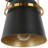 Ivelyn Iron Armed Sconce