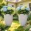 Ensemble de 2 pots à fleurs ronds beige beige 19,09 "avec trou de drainage-126258456