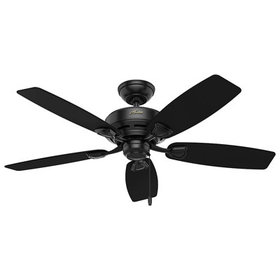 48" Sea Wind 5 - Blade Outdoor Standard Ceiling Fan with Pull Chain