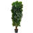 Tree in Pot Liner