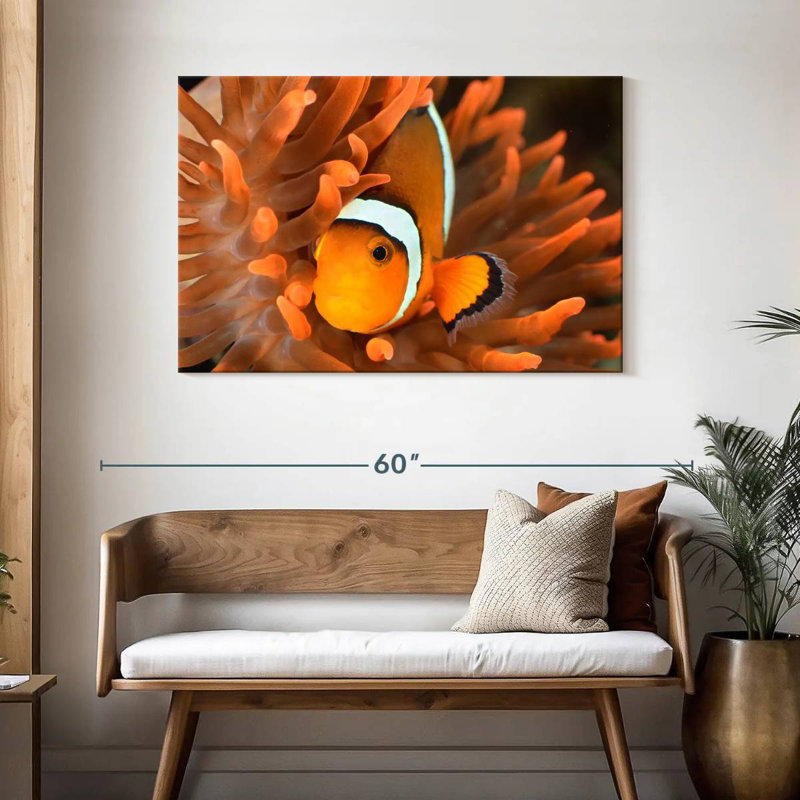 Brampt Orange Clownfish, 30" H x 45" W