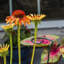 Support pour plantes LeChee