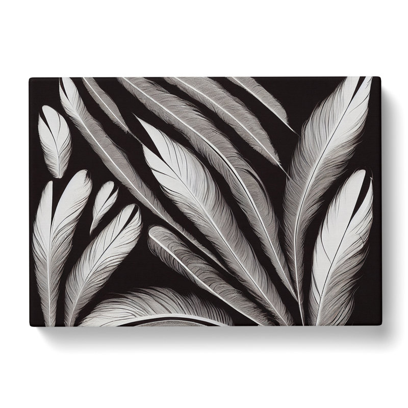 Artistic Bird Feathers - Wrapped Canvas, 35cm H x 50cm W x 3cm D