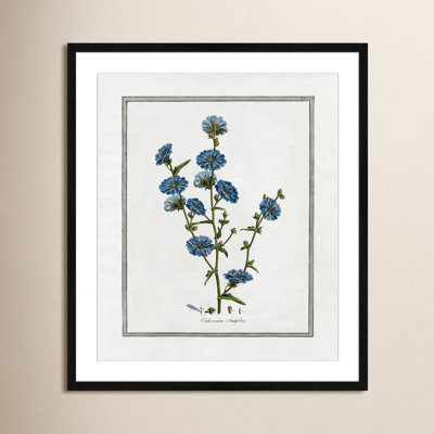 Colombe "Soft Botanical I" Print