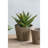 Set Of 3 Thornton Flower Planter/ L:8.3X8.3X6.5"/ M:6.8X6.8X6.1"/ S:5.3X5.3X5.1"
