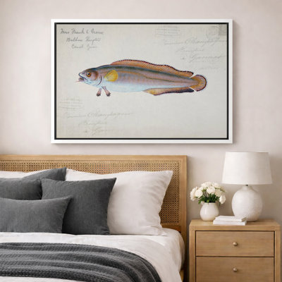 Vintage River Fish Nautical Artwork, Coastal Living Room Pictures, Framed Canvas Giclee Print Wall Art.