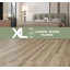 Colombe-125529384