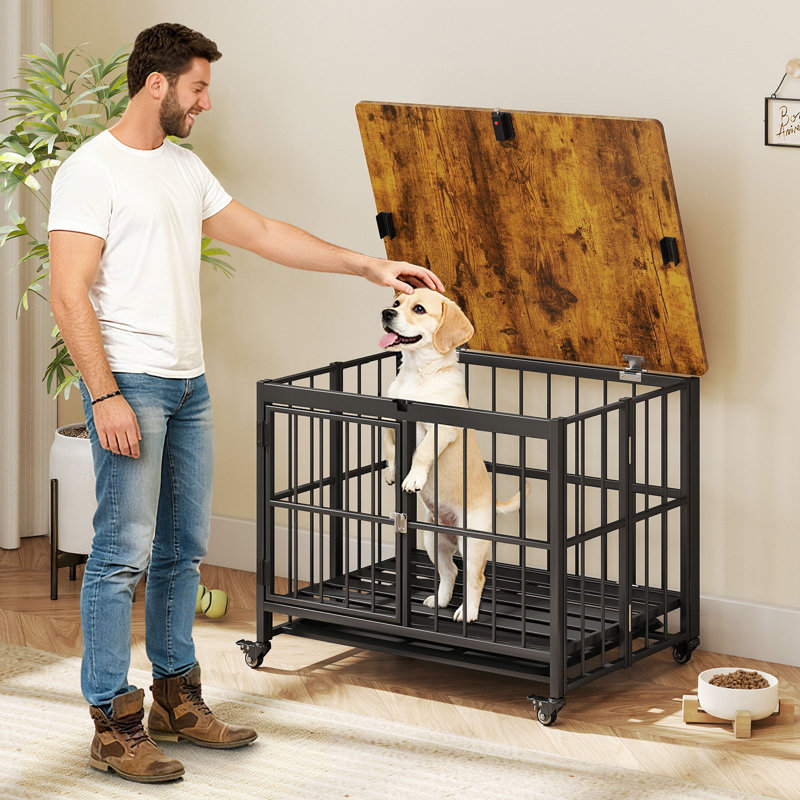  Mobilier de caisse pliable pour chien avec roulettes à porte verrouillable à plateau amovible, H 25 po x l 31,5 po x P 24 po