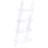 Clear Acrylic Ladder Bookcase