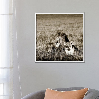 Contented Lion by Klaus Tiedge - Print on Canvas