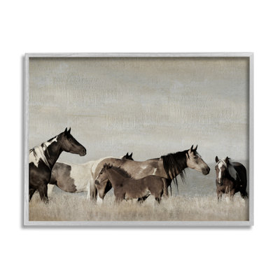 «Horse Family Poulains», photographie de Danita Delimont