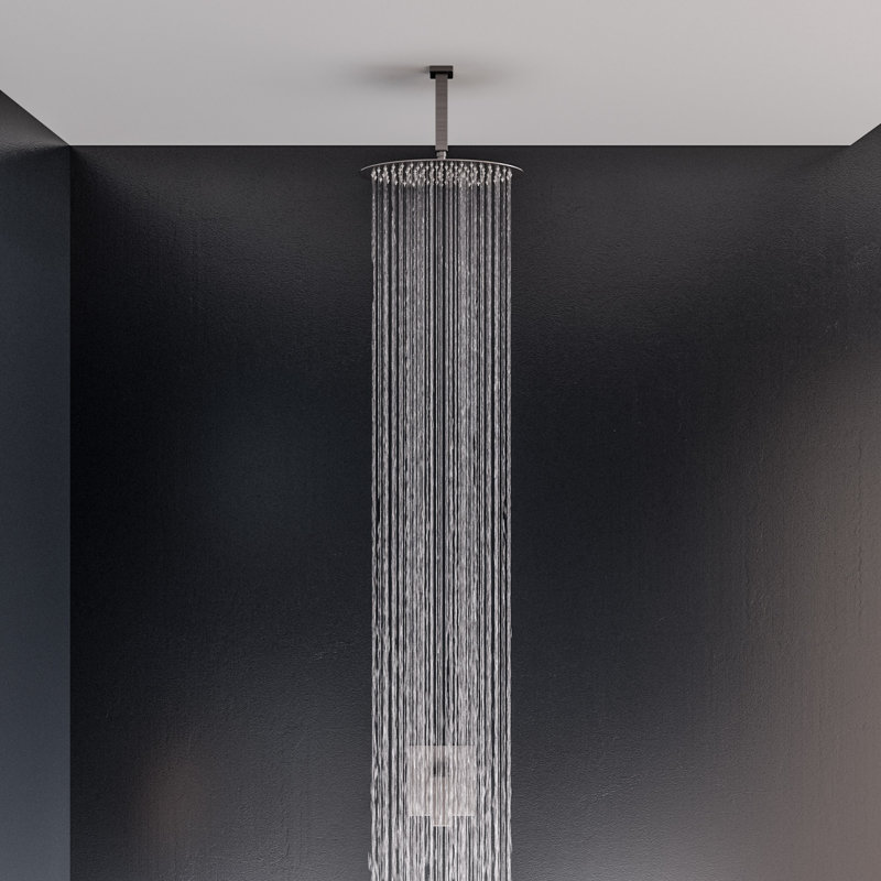 Rain Rain Shower Head 1.8 GPM GPM, Brushed Stainless Steel