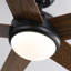 Cheryel Ceiling Fan with LED Lights