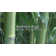 Govinda Handmade Bamboo Slat/Seagrass Area Rug