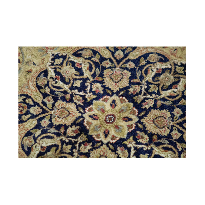 Wool Oriental Area Rug in Brown/Ivory/Navy