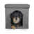 Stormy Gray selected