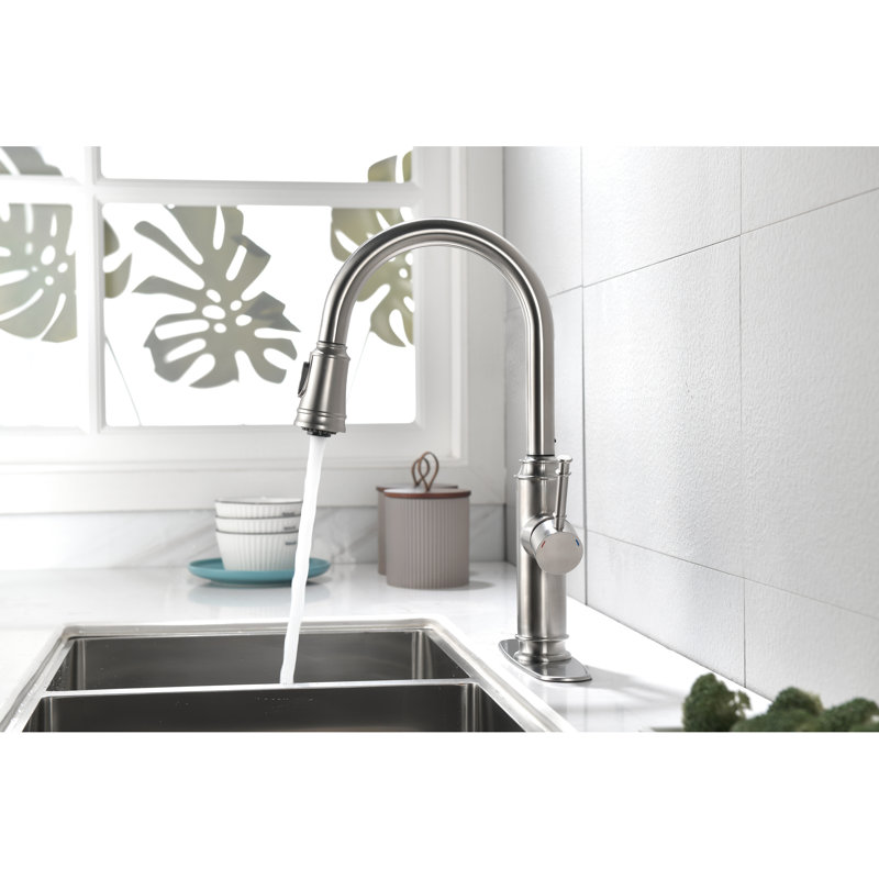 Single Lever Kitchen Sink Faucet, Rust And Two Water Outputs Faucet With Pull Out Spray, Output Settings Corrosion Surface