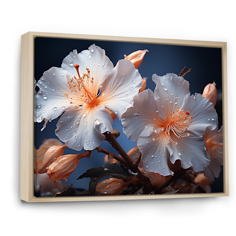 Pétales d'hibiscus au clair de lune - reproduction sur toile, Cadre naturel flottant, H 30 po x l 40 po x P 1,5 po