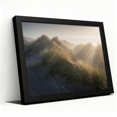 Sunlit Sand Dunes and Beach Grass Canvas Wall Art
