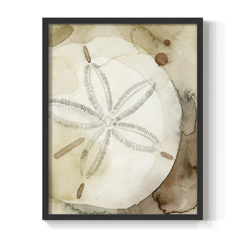 Dry Sand Dollar I, reproduction encadrée - bois massif, H 20 po x l 16 po, Noir