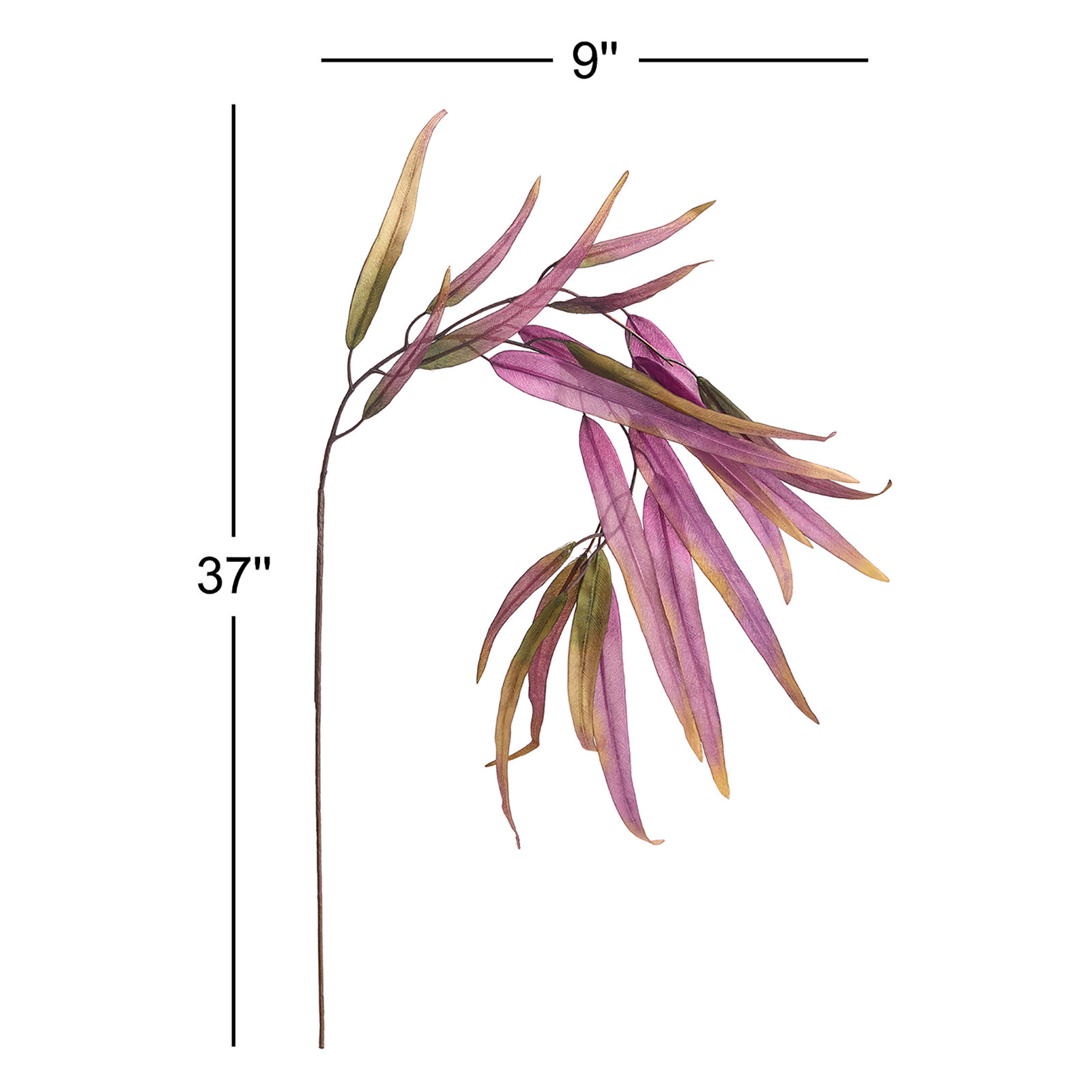 Willow Eucalyptus Stems