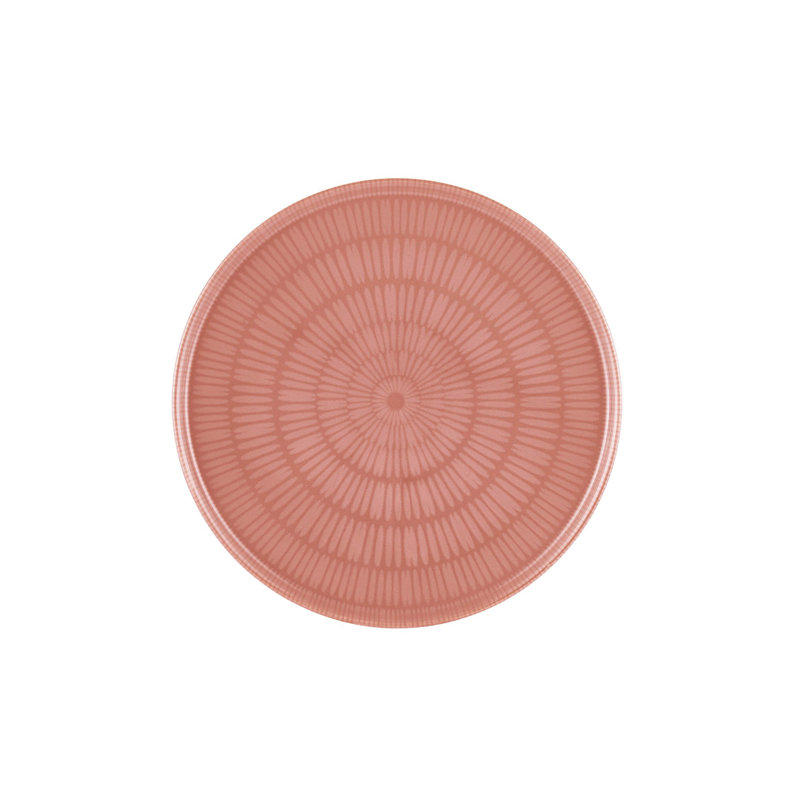 Elegant Ceramic Plate Set (6 Pieces), Salmon Color, 10.2 x 10.2 x 0.4 inches | 100% Durable Ceramic, Perfect for Dinner Parties & Everyday Use | Stylish Design for Modern Table Settings