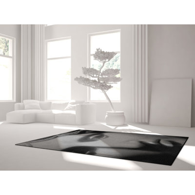 Ellery 200cm X 300cm Area Rug