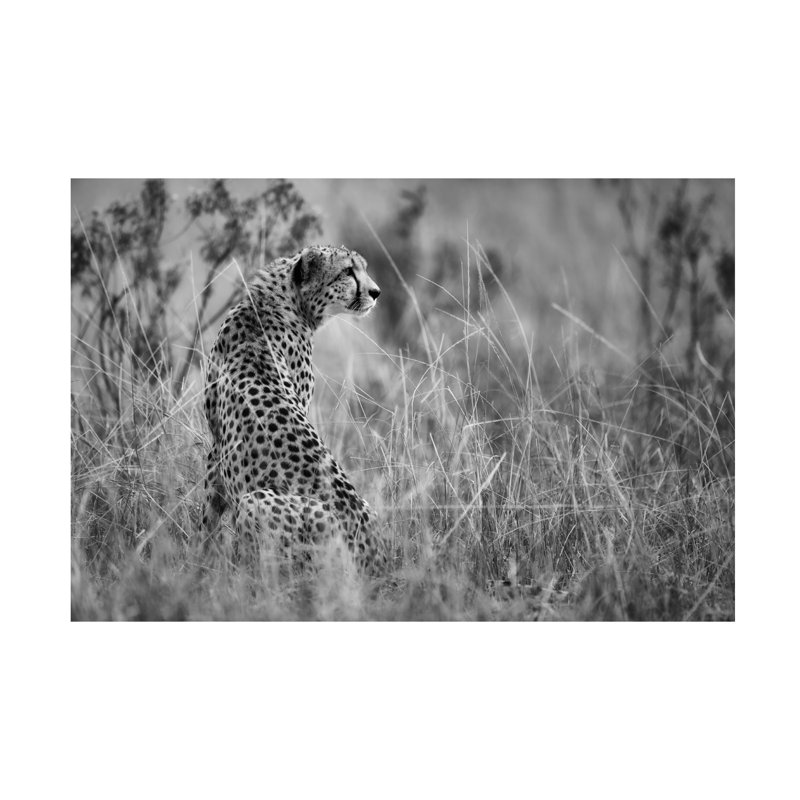 Mohammed Alnaser Dotted Beauty Canvas Art, H 12 po x l 19 po