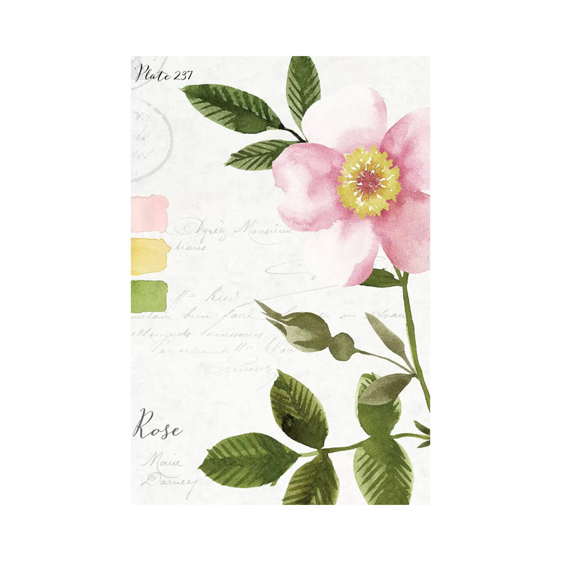 Rose 1 Piece Painting on Canvas, 45.72cm H x 30.48cm W x 1.91cm D, Wrapped Canvas