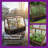 Wooden Cold Frame Greenhouse, Garden Solid Wood Greenhouse Cabinet with Transparent Flip, Raised Flower Seedlings Plants Shelf Protection for Outdoor Indoor, One Divides Into Two