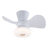 22 In LED Flush Mount Ceiling Fan Light