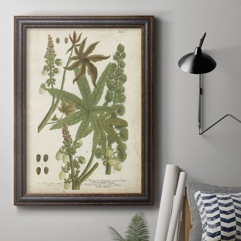Weinmann Tropical Plants I - reproduction d'art sur toile, H 20 po x l 16 po x P 2,5 po, Cadre argenté antique