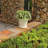 Pansy Ceramic Pot Planter-88134233