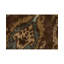 Ikat Area Rug in Brown