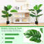 120cm Plant