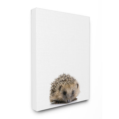Art sur toile Greggs Baby Hedgehog Studio