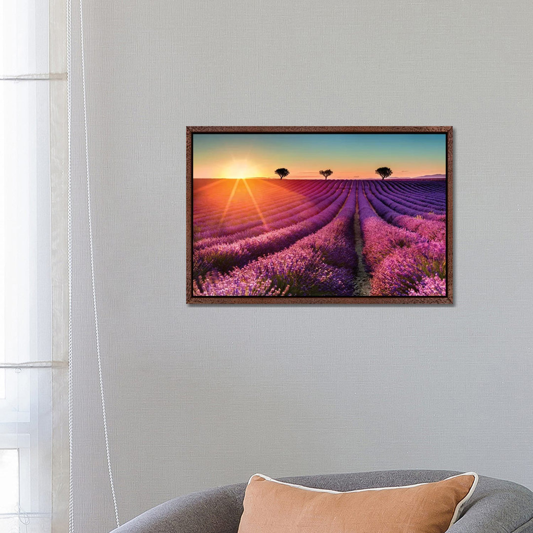 Plateau De Valensole Lavendelfeld Sonnenuntergang II von Susanne Kremer - Galerie-verpackte Leinwand Giclée