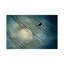 Pássaro Ao Luar (Bird Moonlight) by Marcel Caram - Print on Canvas-613351984-613351985