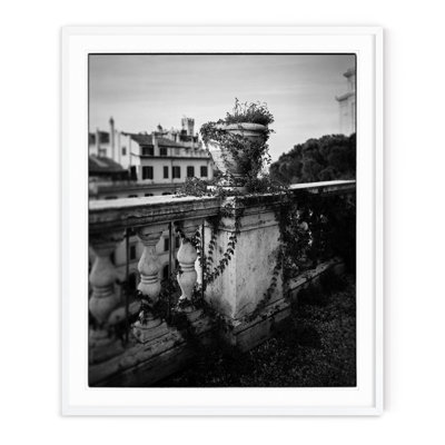 Italian Ivy - Picture Frame Photograph