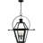 Mishler 4-Light Earth Black Outdoor Hanging Lantern