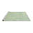 Oriental Indoor Rug-574789883