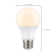 8 Watt White LED Bulb