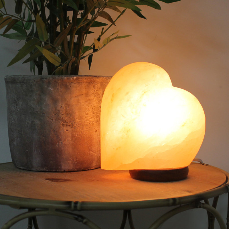 Gerard 5.95 lbs Salt Lamp