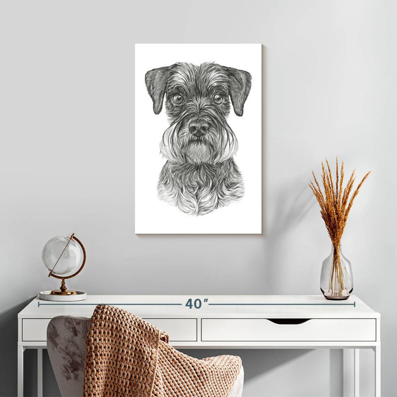 Schnauzer Brampt, H 24 po x l 16 po