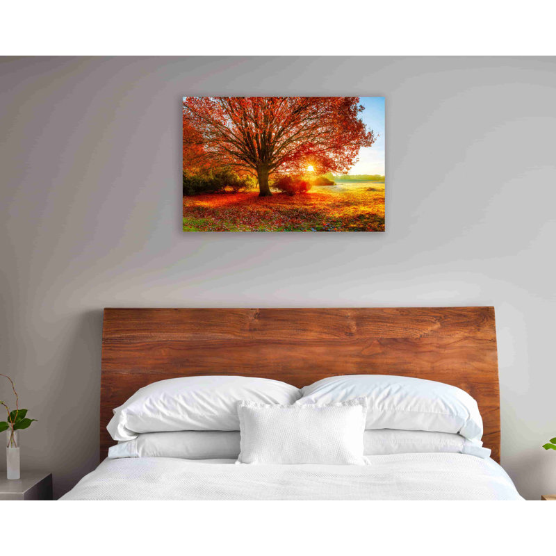 " Fall Forest ", 24" H x 36" W x 1.5" D