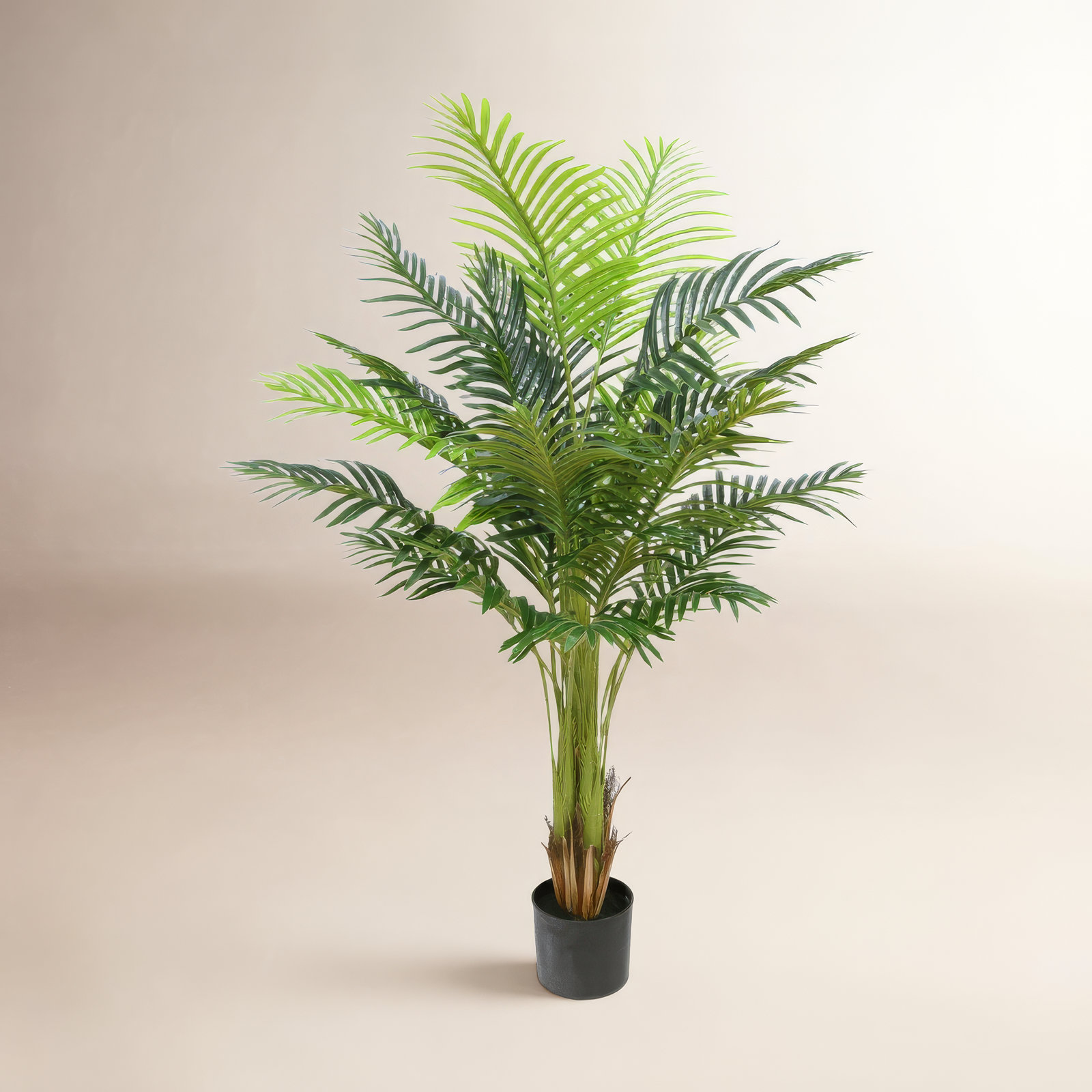Palm Tree in Pot, 59" H x 31" W x 31" D