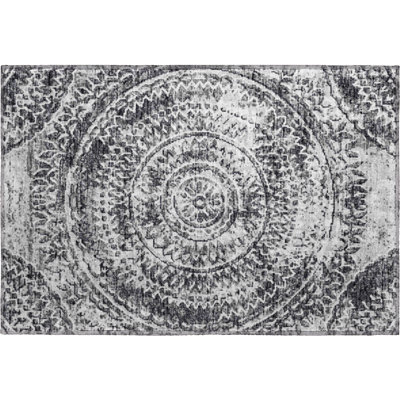 Premium Machine Washable Paullette AMF113 Rug