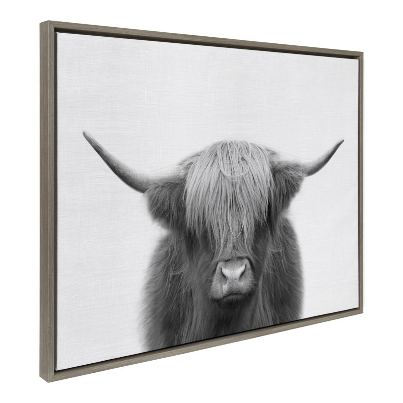 «Hey Dude Highland Cow BW» par The Creative Bunch Studio, reproduction d'art sur toile encadrée, H 18 po x l 24 po, Gris
